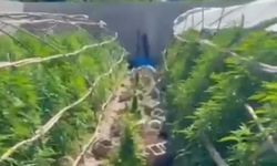 Hatay'da uyuşturucu operasyonu: 6 kişi tutuklandı