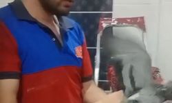 Havalandırma boşluğuna düşen güvercini itfaiye kurtardı