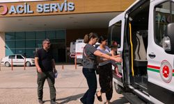İki ayrı ilde 18 hırsızlık olayının şüphelisi kucağındaki bebeğiyle yakalandı