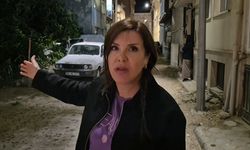 İkiye ayrılan dut ağacı, 2 aracın üzerine devrildi