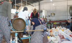 Isparta'da gül sezonu başladı