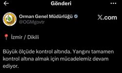 İzmir'de maki yangını (4)