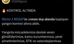 İzmir'de maki yangını (5)