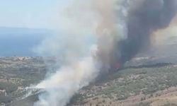 İzmir'de maki yangını