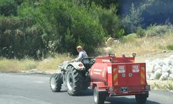 İzmir'de orman yangını