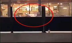 Kafede Merve Nur'u öldüren sanığın akıl sağılığı incelenecek