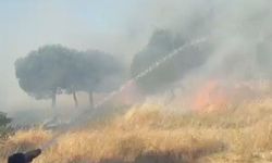 Kağıthane'de otluk alanda çıkan yangın söndürüldü