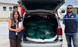 Kapıkule'de 840 kilogram canlı kum midyesi ele geçirildi