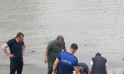 Kastamonu'da ırmağa düşen çocuk kurtarıldı