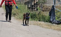 Kelkit Çayı'nda kaybolan İlker, 10 gündür aranıyor