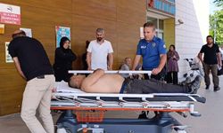 Kiraz toplamak için çıktığı ağaçtan düşüp, ağır yaralandı