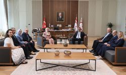 KKTC Cumhurbaşkanı Erhürman, Bakan Göktaş'ı kabul etti