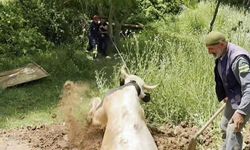 Kuyuya düşen boğayı itfaiye kurtardı