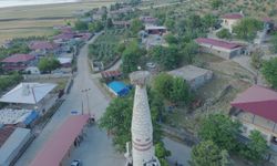 Leylek 'Hitit' 2 yavru dünyaya getirdi