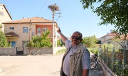 Leylekli mahallenin sakinlerinin 'yuva' hassasiyeti