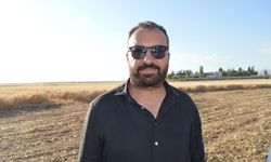 Mardin Ovası'nda buğday hasadı başladı