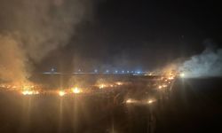 Mardin'de anız yangını, yerleşim yerine de sıçradı (4)