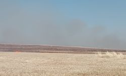 Mardin'de anız yangını, yerleşim yerine de sıçradı