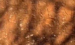 Mardin'de peyzaj çalışmasında yazılı tarihi kitabeler bulundu