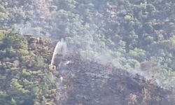 Marmaris'te ormana yıldırım düştü, yangın çıktı (2)