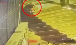 Mini etek giyip peruk takan erkek, mağazadan kilim çaldı; o anlar kamerada