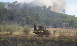 Muğla'da tarım arazisinde çıkan yangın ormana sıçradı (2)