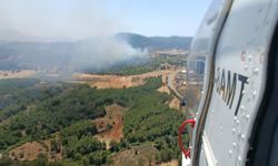 Muğla'da tarım arazisinde çıkan yangın ormana sıçradı