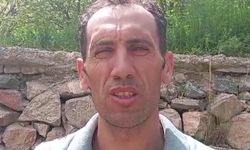 Nöbet tuttuğu güvenlik kulübesinin önüne 2 yavru bozayı geldi