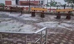 Ordu'da dolu yağışı etkili oldu