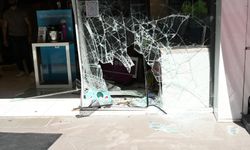 Otomobil beyaz eşya dükkanına girdi
