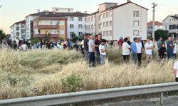 Otomobilin çarptığı Rabia, hayatını kaybetti