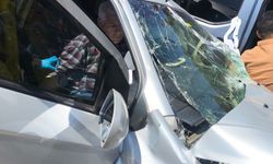 Otomobiller çarpıştı: 1 ölü, 5 yaralı