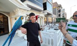 Papağanlarını bir an olsun yanından ayırmıyor; gören fotoğraf çektiriyor