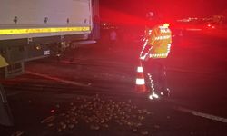 Patates yüklü TIR'a arkadan çarpan otomobilin sürücüsü öldü