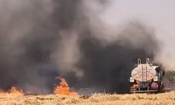 Şanlıurfa'da anız yangını soruşturmasında 14 gözaltı