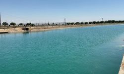 Şanlıurfa'da kanalda ceset olduğu ihbarıyla çalışma başlatıldı