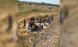Şanlıurfa'da otomobil şarampole yuvarlandı; 1 ölü, 4 yaralı