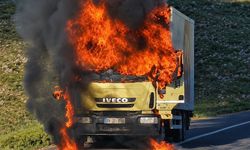 Şanlıurfa'da TIR alev alev yandı