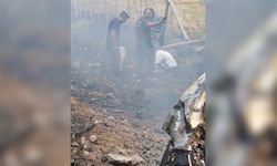 Şanlıurfa'da yanan araçtaki paraları kurtarmaya çalıştılar