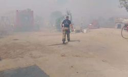 Silivri'de otlukta çıkan yangın gecekonduya sıçradı-1