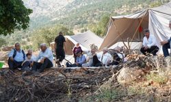 Şırnak'ta 40 aile, 32 yıl sonra geldikleri köylerine çadır kurup kesin dönüş için başvuru yaptı