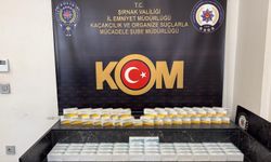 Şırnak'ta kaçak ilaç ve serumlar ele geçirildi; 2 gözaltı