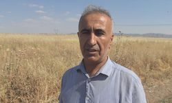 Şırnak'ta odunlukta bulunan çöl varanı, doğal yaşam alanına bırakıldı