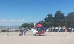Sivas'ta ayının saldırdığı çoban yaralandı