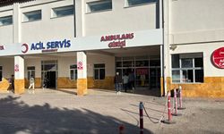 Sivas'ta inşaat işçisi baltayla 3 kişiyi yaraladı; o anlar kamerada / YENİDEN