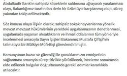 Sokak köpeklerinin saldırısına uğrayan Abdulkadir, yaralandı (2)