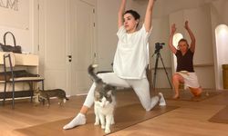 Sporsever kadınlar, yanlarında kedilerle yoga yaptı