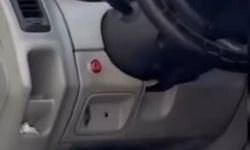 Sultangazi'de kaputun altından kuş, direksiyonun içinden kertenkele çıktı
