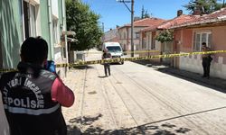 Sürücüsünün geri manevra yaptığı hafif ticari aracın çarptığı yaya öldü