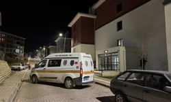 Tartıştığı damadını bıçaklayarak öldürdü